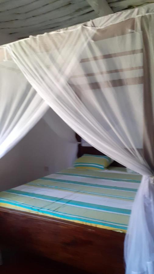 Les Datchi Cottages شاطئ دياني المظهر الخارجي الصورة