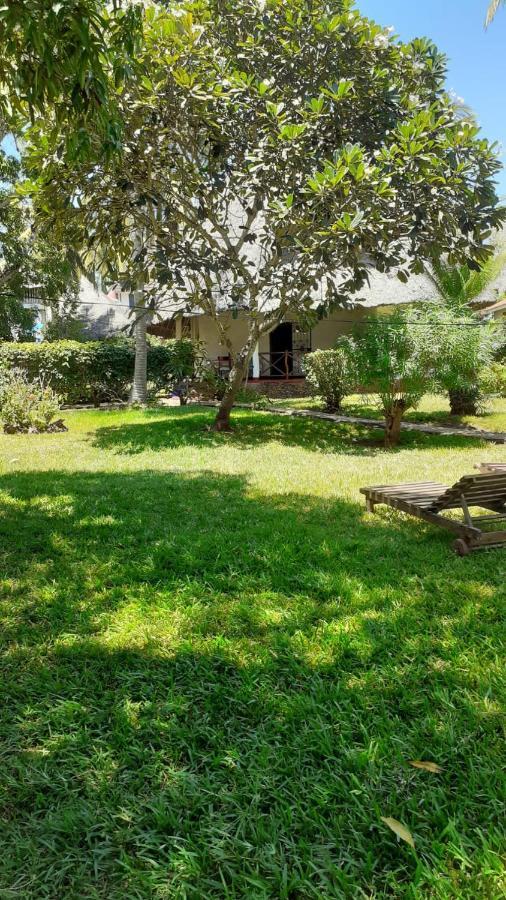 Les Datchi Cottages شاطئ دياني المظهر الخارجي الصورة