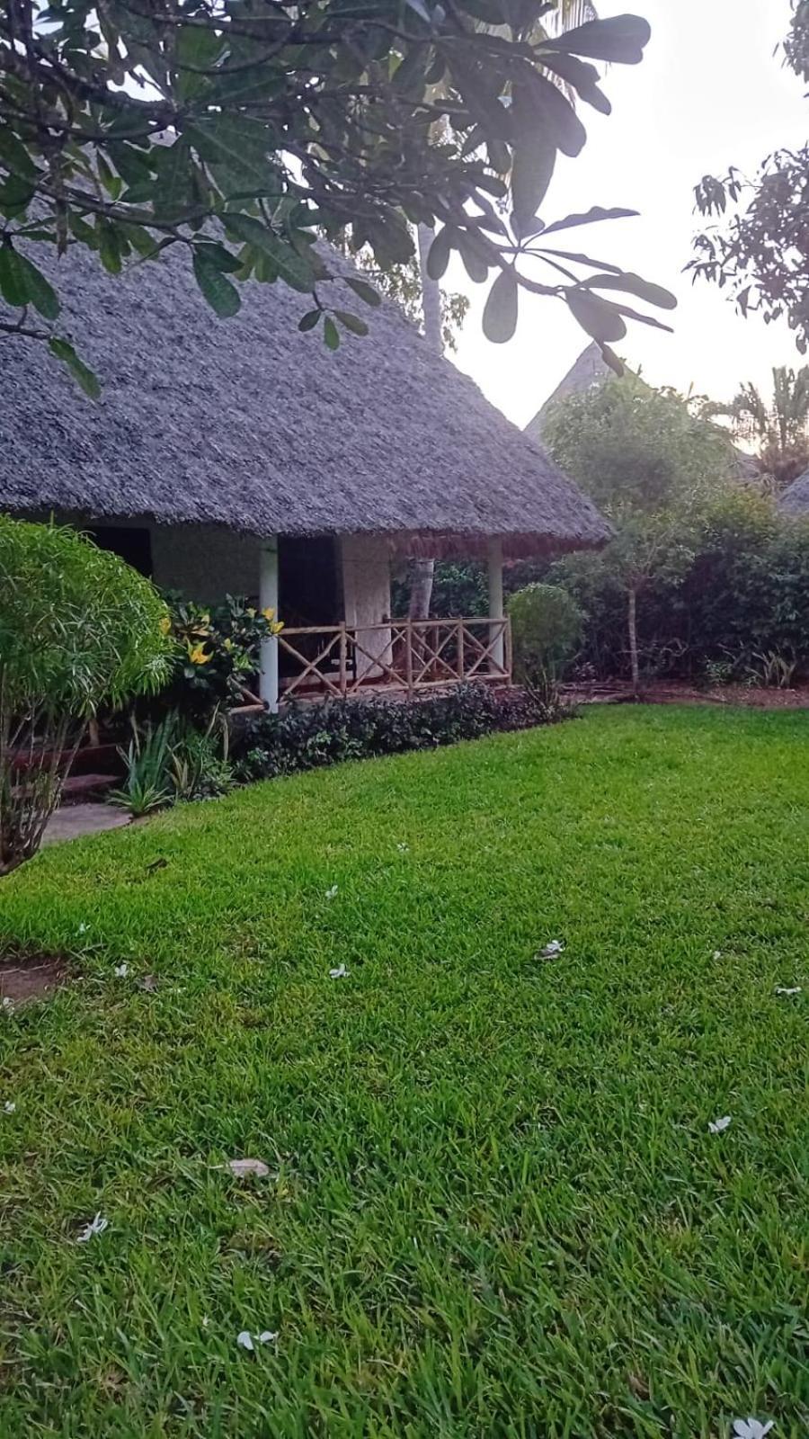 Les Datchi Cottages شاطئ دياني المظهر الخارجي الصورة